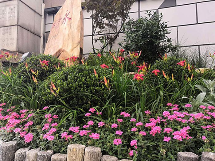 亚洲必赢·bwin(中国唯一)官方网站